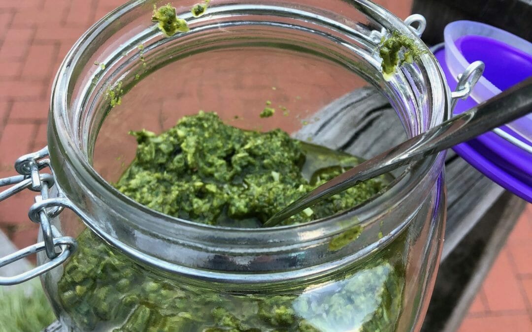 Fresh Basil and Walnut Pesto